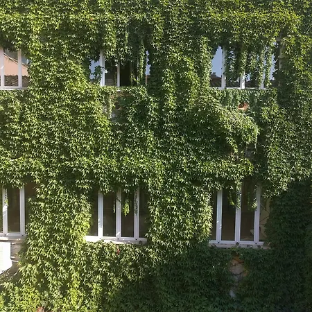 Hotel San Carlo Rom